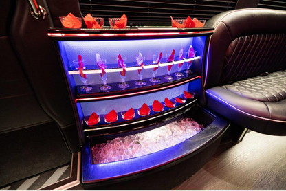 Mercedes Sprinter Limo Black 14 pass