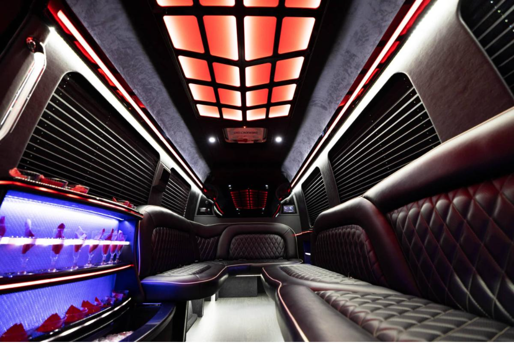 Mercedes Sprinter Limo Black 14 pass