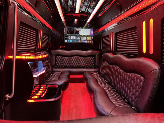 Mercedes Sprinter Limo Black 14 pass