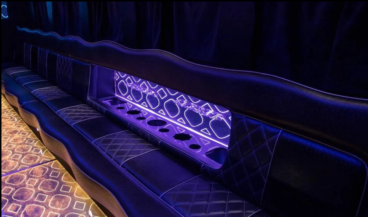 Amelia Party Bus for 35 pass