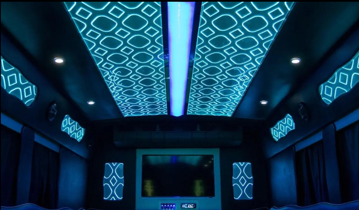 Amelia Party Bus for 35 pass