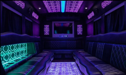 Amelia Party Bus for 35 pass