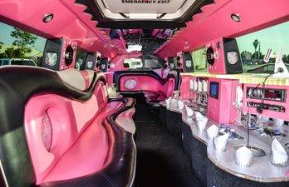 Hummer Stretch pink for 20 pass