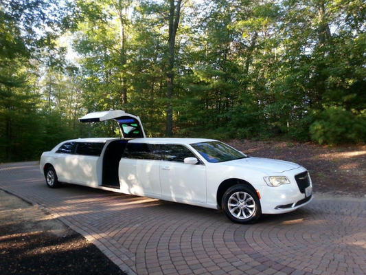 Chrysler 300 white jet doors for 10 12 pass
