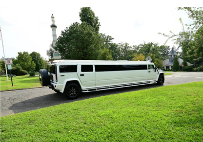 Hummer Stretch pink for 20 pass